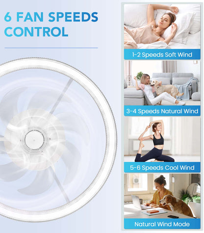 Fandelier Flush Mount Ceiling Fan 3 Color Changeable for Bedroom